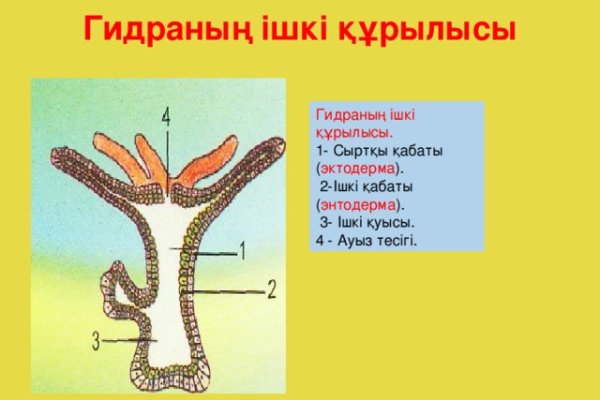 Кракен маркет плей